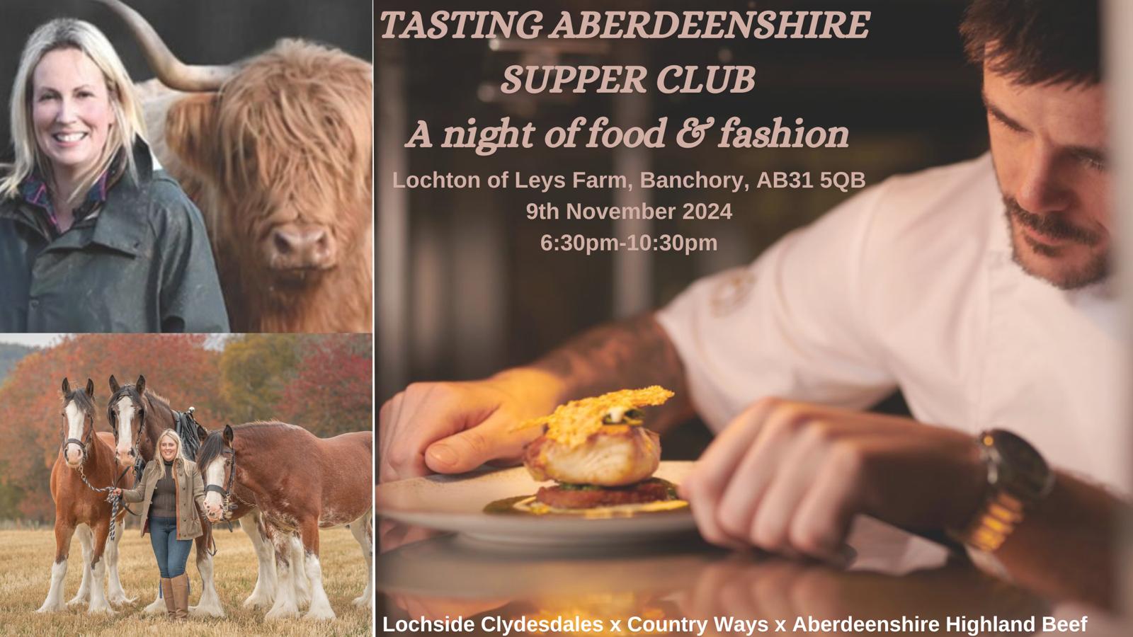 Highland cattle in autumn