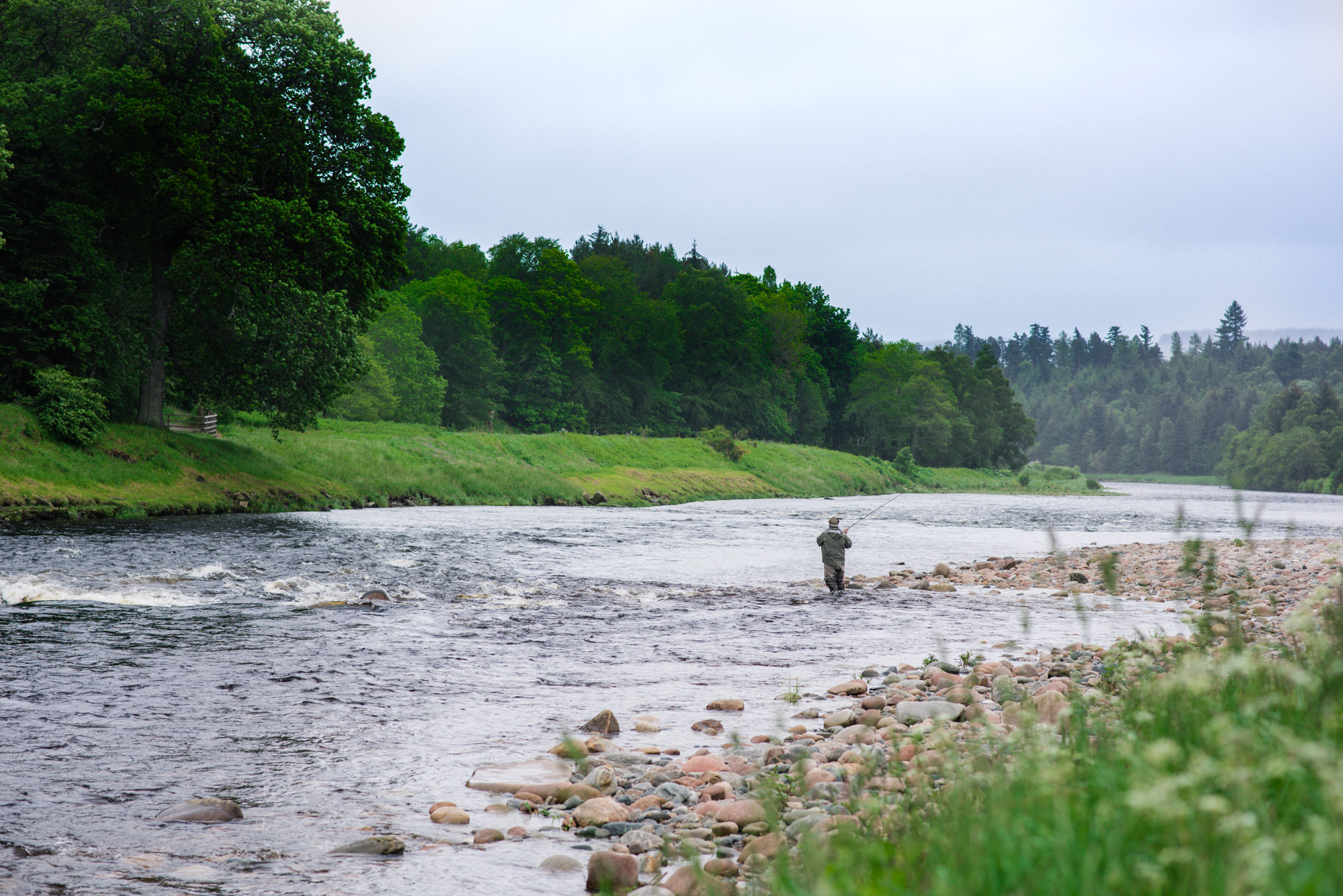 Ballogie Estate on the south bank of the River Dee, Royal Deeside