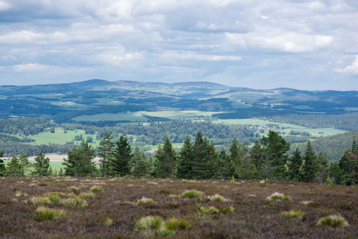 Royal Deeside countryside — castle visits, distillery tours, mountain biking nearby
