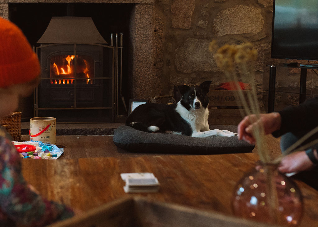 Potarch Lodge — 7 en-suite bedrooms, dogs welcome (max 3)