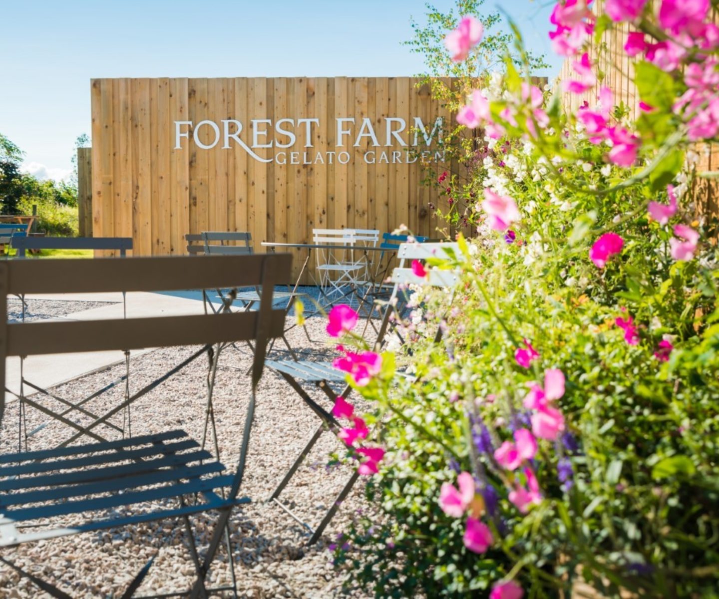 Forest Farm โ The Organic Dairy