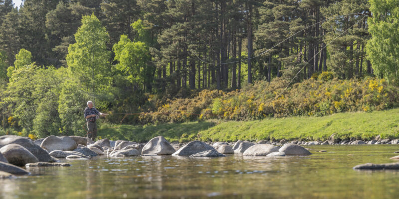 Salmon fishing on the River Dee at Glen Tanar Estate, Royal Deeside
