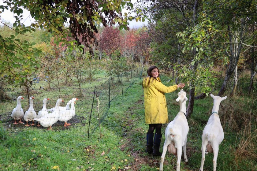The permaculture smallholding