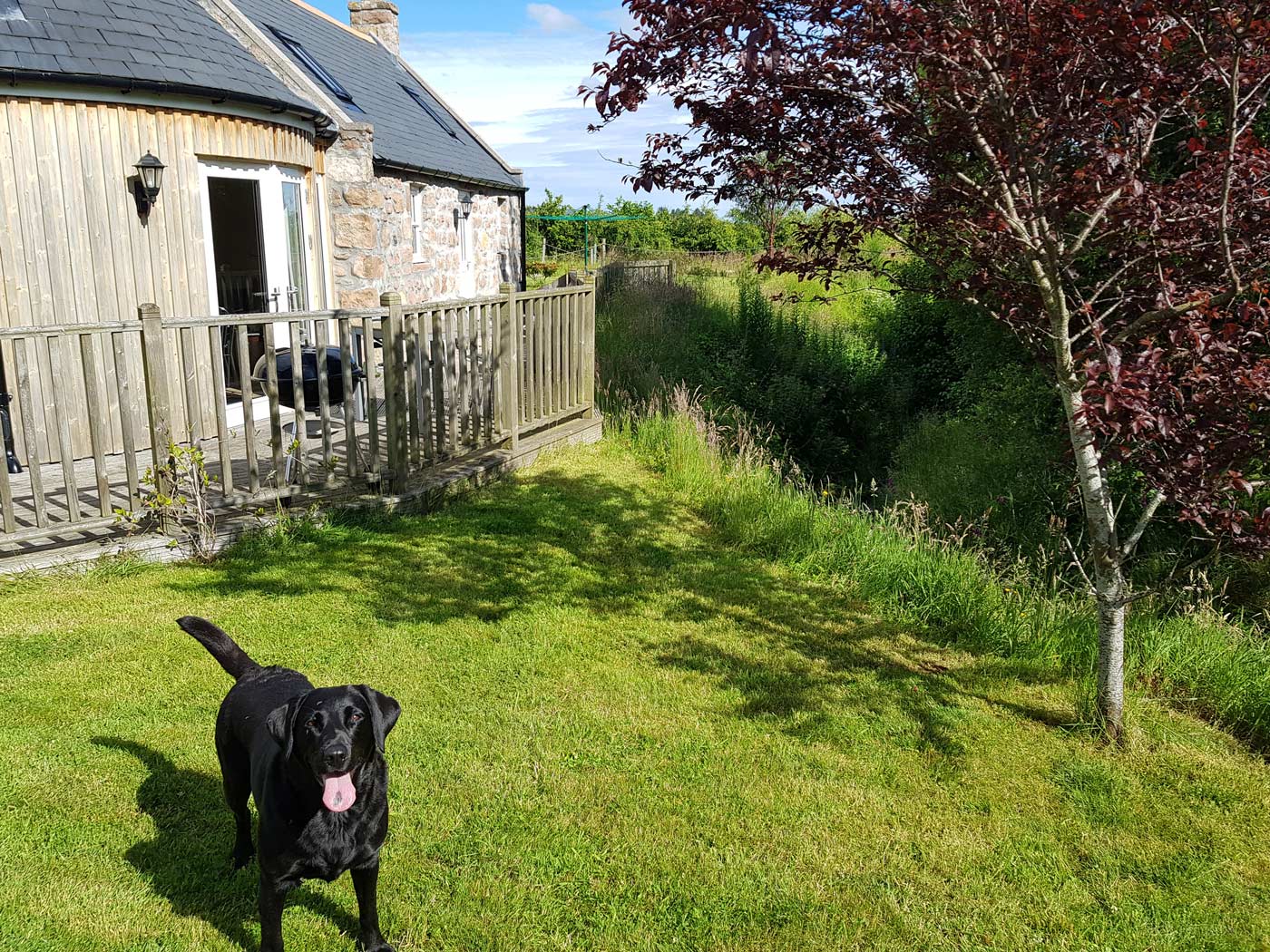 Views across Royal Deeside from King Duncan's View — sleeping 8, hot tub included