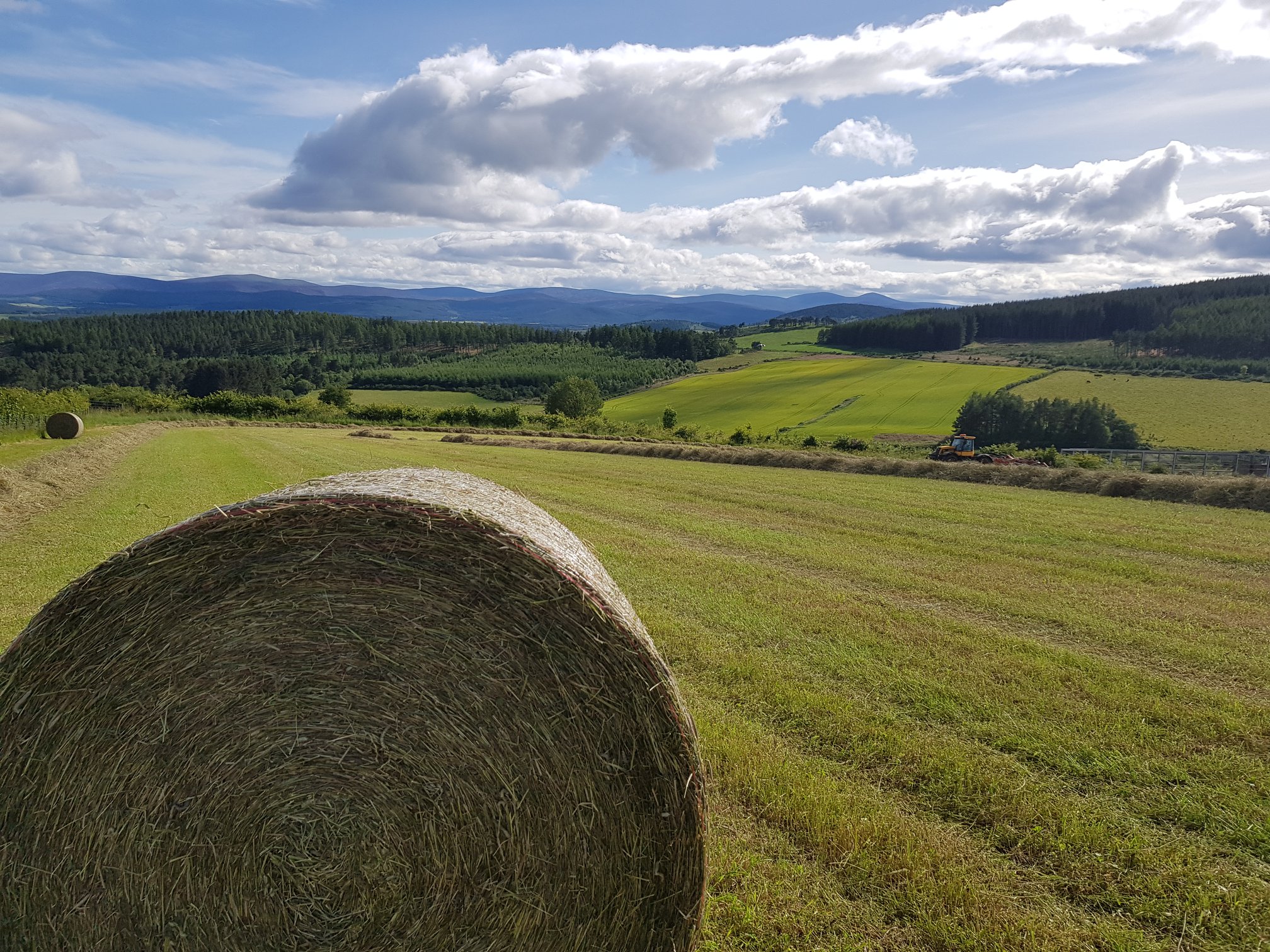 Hay harvest at Perkhill — guests often watch from the cottage windows