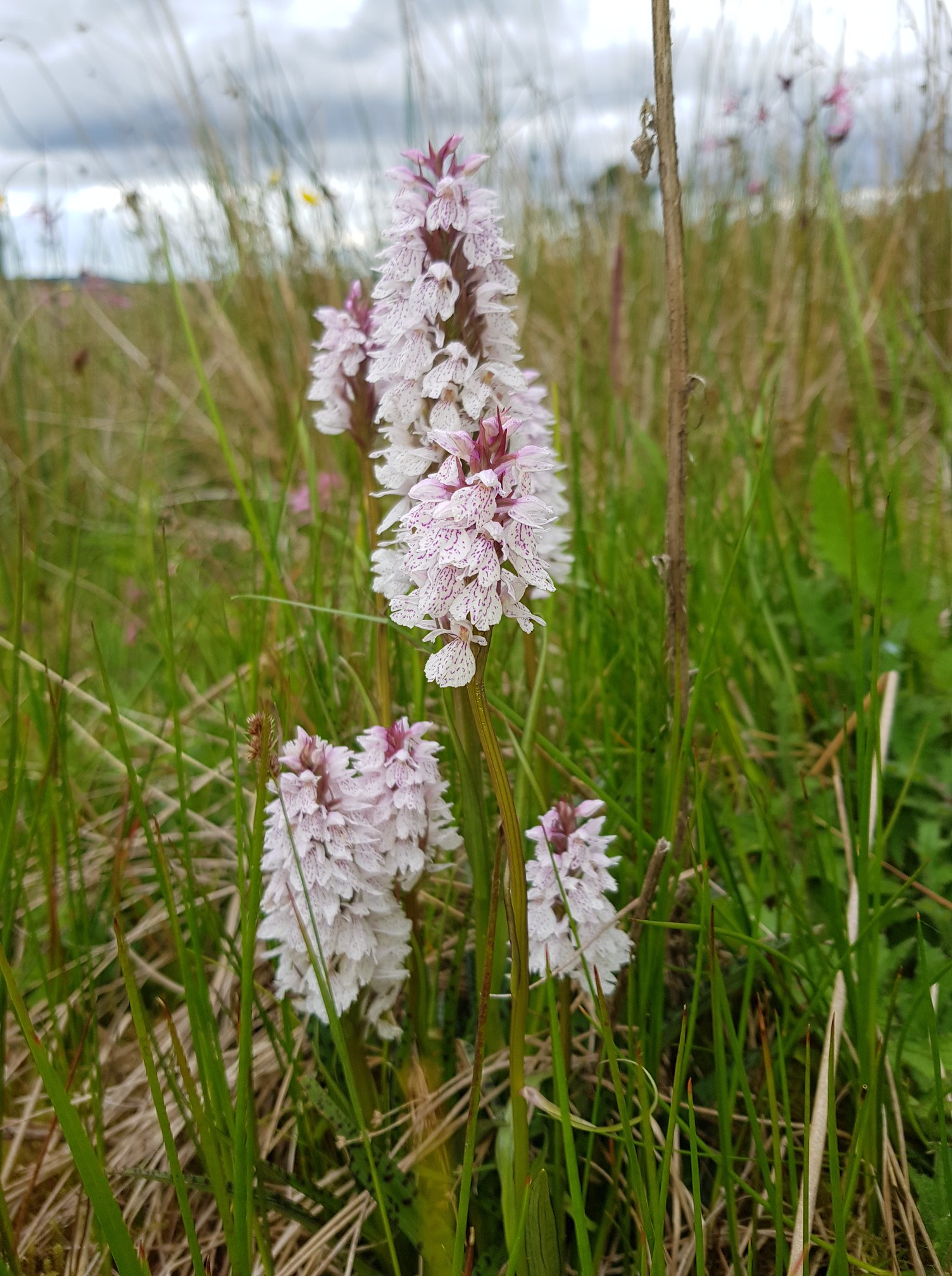 Water and woodland walks — Royal Deeside countryside on the doorstep