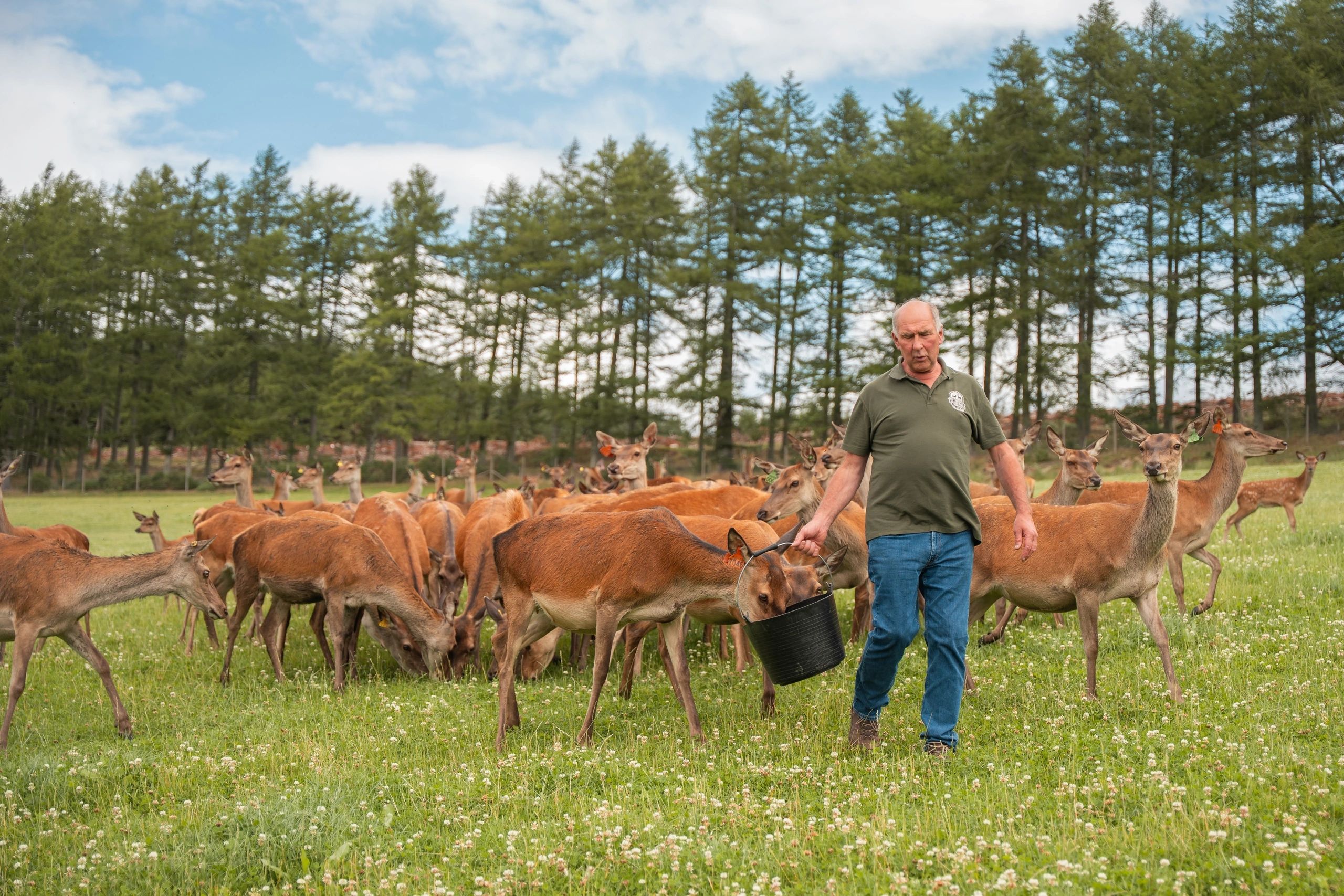 Learning about red deer and sustainable land management